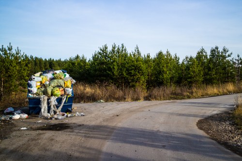 Environmentally Friendly Skip Disposal